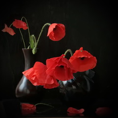 Як жаль, що швидко одцвітають маки...