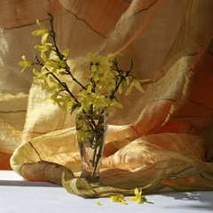 Сонячний настрій