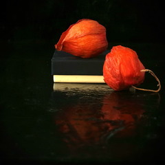 Діалог світла і темряви