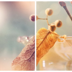 Два взгляда на осень
