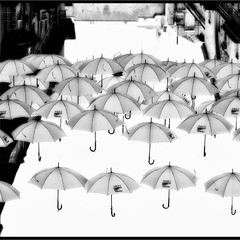 rain of umbrellas