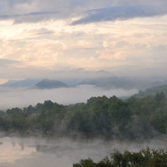 ранковий туман