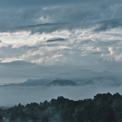 ранковий туман