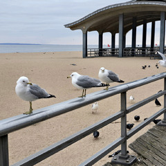 Скоро сезон