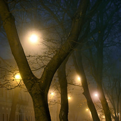 Вечерний туман