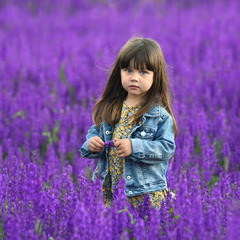 В фиолетовом поле