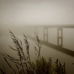 мост и туман