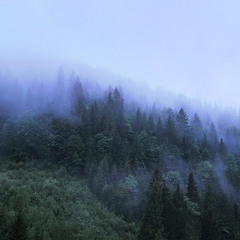 синий туман