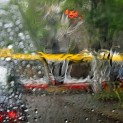 Троллейбус в дожде