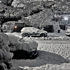 О погоде в Нью-Йорке