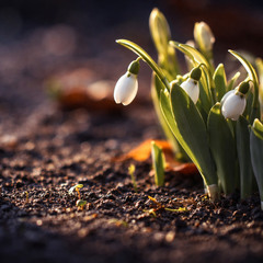 Весна 2026 стартує ⁎⁎⁎