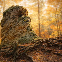 Камяний страж лісу!