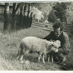 Батько з овечками.