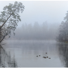 туман над озером