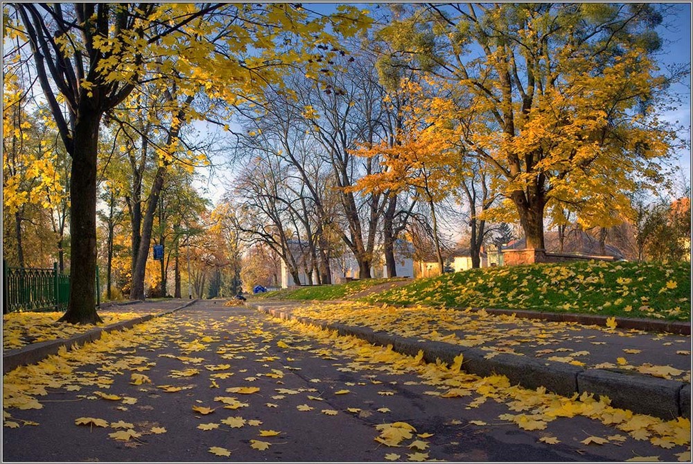 Октябрь е. Осенний городской парк. Городской парк осенью. Осень в городском парке. Городской парк в ноябре.