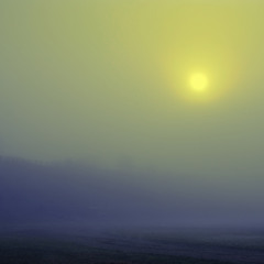 Туманный восход