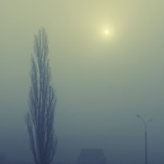Туманный восход