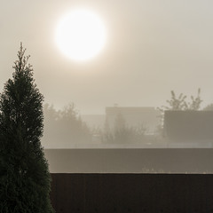 Восход Солнца в тумане
