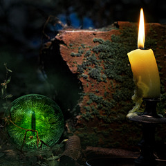 Мистика Голосеевского парка