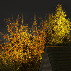 Закатный час