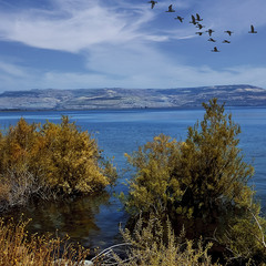 Галилейское море