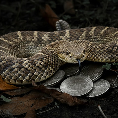 "Властью денег из людей можно сделать змей". (Р.Киплинг)