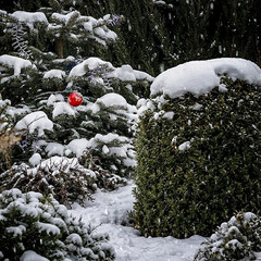 Скупость зимних красок