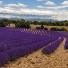 Provence (1), ч.2
