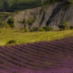 Provence (4)