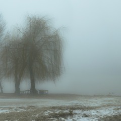 Туман
