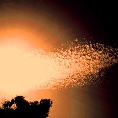Комета по имени "Солнце"