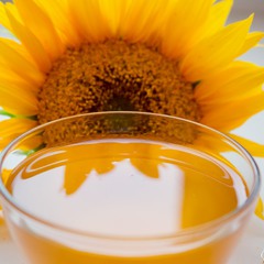 Sunflower and honey