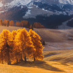 Италия. Доломиты. Утренний свет на плато Alpe Di Siusi-2