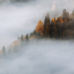 Осенние склоны в тумане.