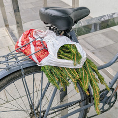 З пересвяткового, грудень 2025