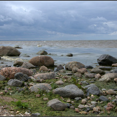 Камни Балтийского моря...