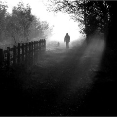 Walk with a black and white fog.