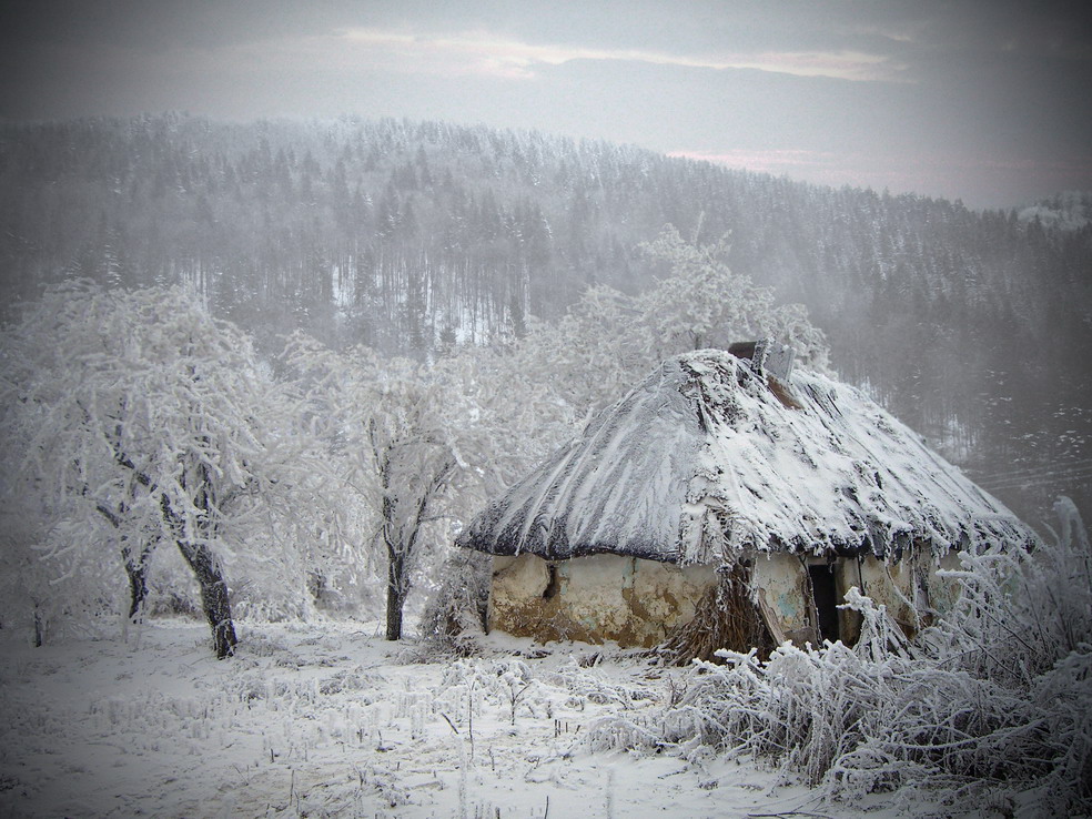 Карпаты зима Хижина