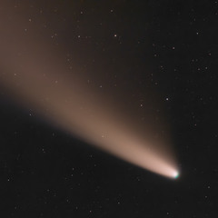 Комета NEOWISE крупнее