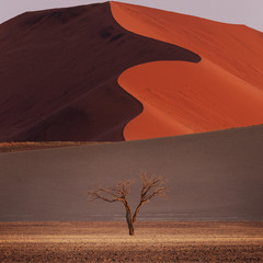 Геометрия пустыни