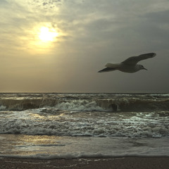 утро на Азовском море