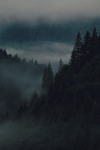 Похмурий ранок