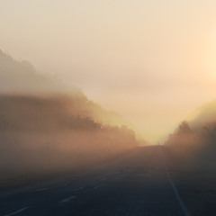 Утро, дорога, туман