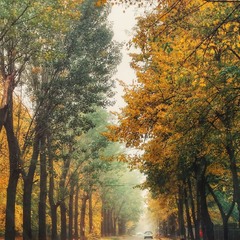 Осенний вайб