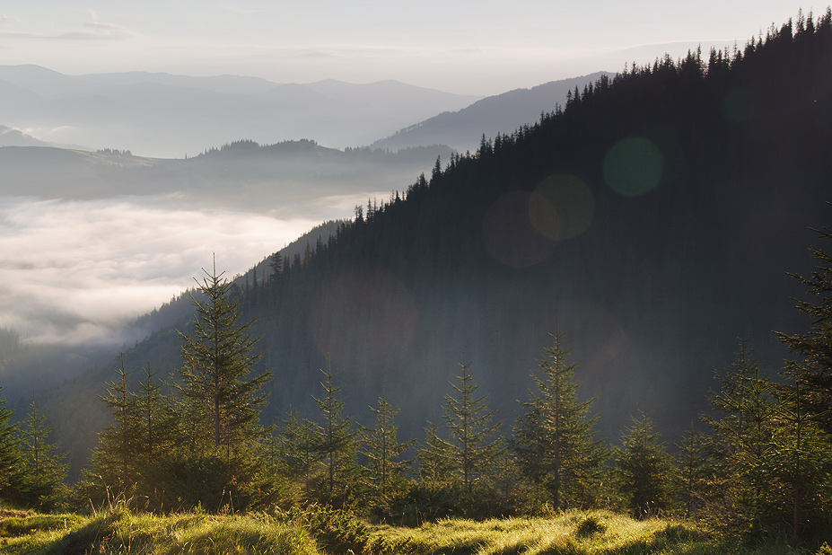 Горы Карпаты панорама