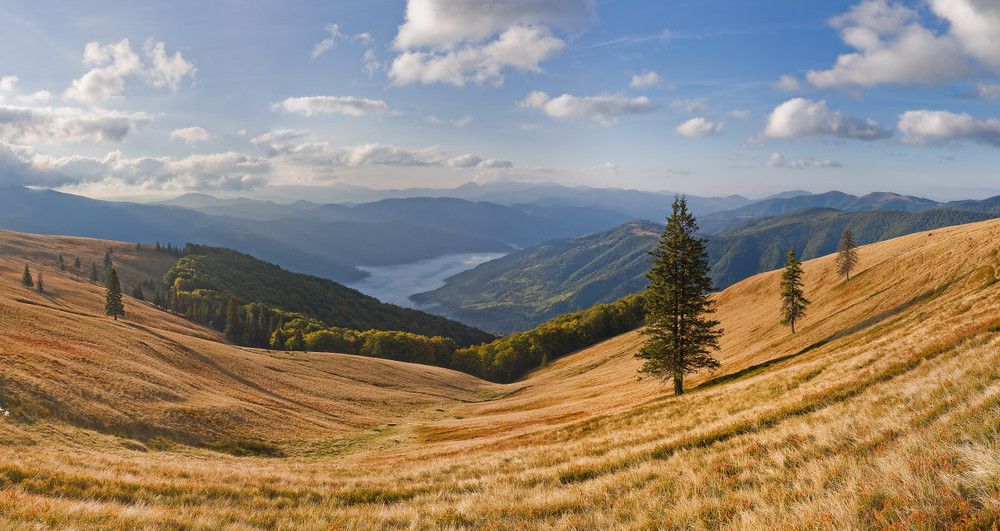 Горы Карпаты панорама