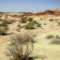 Пустыня после зимы!
