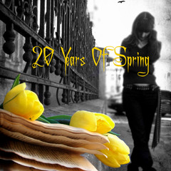 20 years of spring