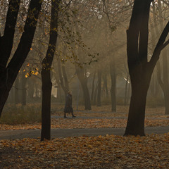 Осень, утро, парк