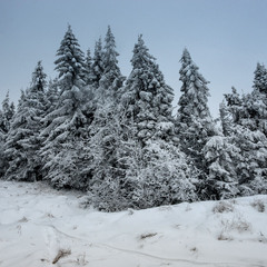 Зима в Карпатах продолжается!